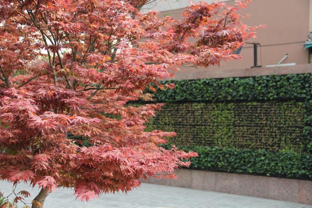 L'Otel 上海市 エクステリア 写真