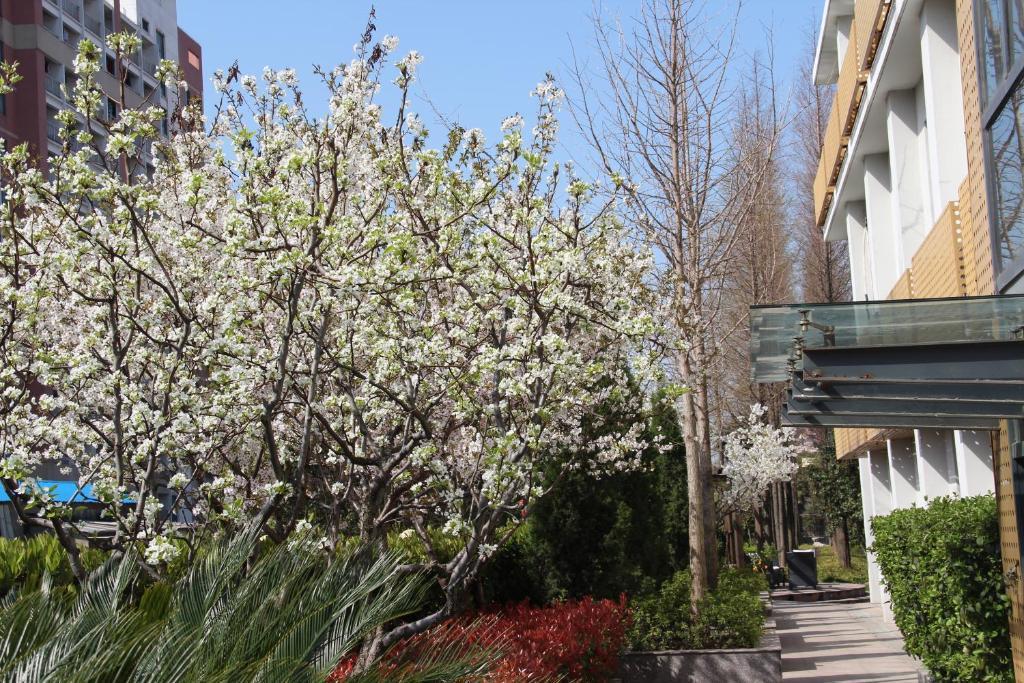 L'Otel 上海市 エクステリア 写真